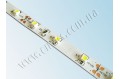 LED лента 3528/60 негерметичная (IP33) standart